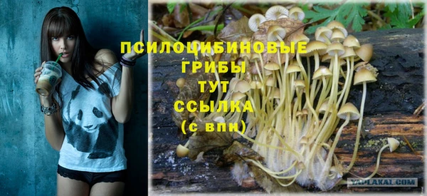 дмт Абинск
