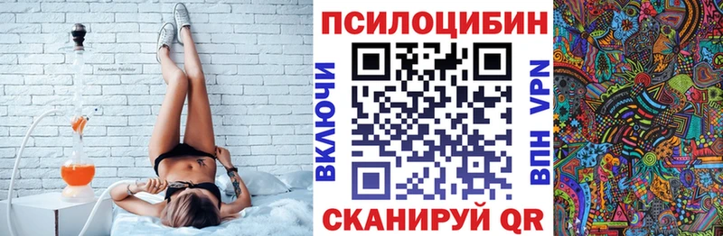 blacksprut как зайти  купить   Судогда  Галлюциногенные грибы MAGIC MUSHROOMS 